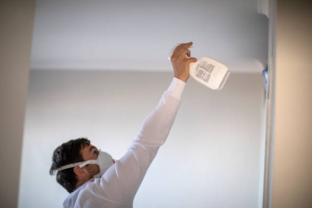 Best Certified Mold Removal  in Dysart, IA