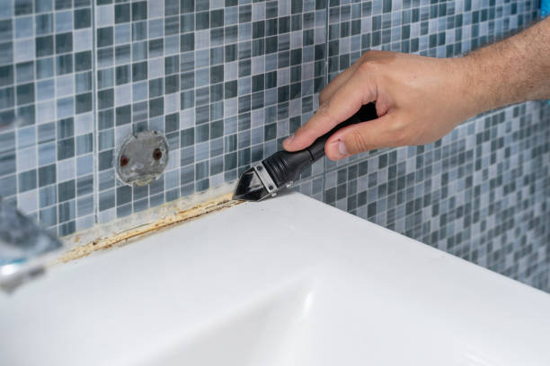 Best Mold Damage Repair  in Dysart, IA