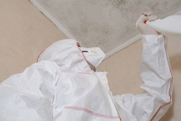 Best Crawl Space Mold Removal  in Dysart, IA
