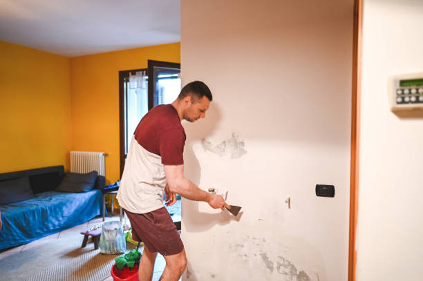 Best Toxic Mold Removal  in Dysart, IA